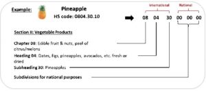 Pineapple example HS code